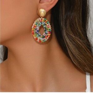Multicolor Beaded Oval Earrings